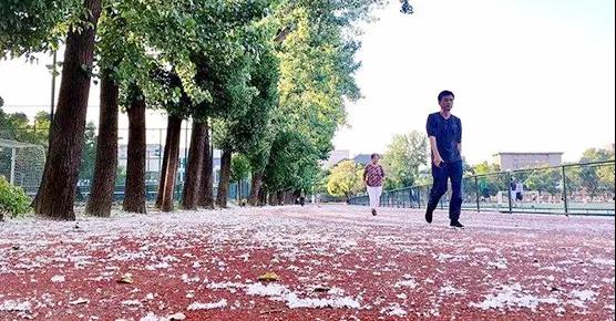 五月柳絮飞扬，戴为与一线环卫工人们并肩作战